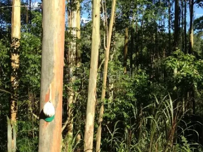 Área - Miniatura - Lunardi Imóveis