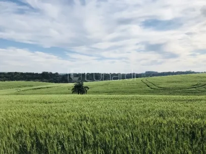 Área - Miniatura - Lunardi Imóveis