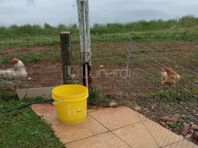 Área - Miniatura - Lunardi Imóveis