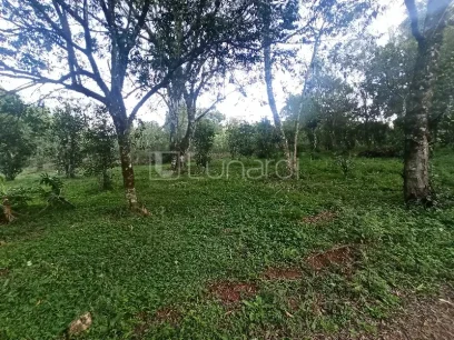 Área - Miniatura - Lunardi Imóveis