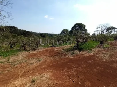 Área - Miniatura - Lunardi Imóveis