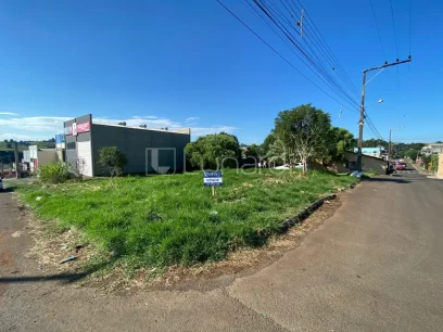 Terreno - Miniatura - Lunardi Imóveis