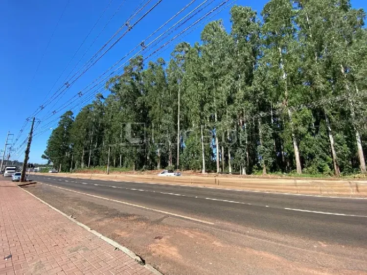 Área - Lunardi Imóveis