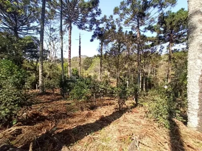 Área - Miniatura - Lunardi Imóveis