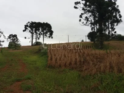 Área - Miniatura - Lunardi Imóveis