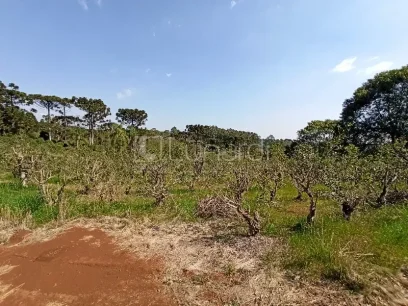 Área - Miniatura - Lunardi Imóveis