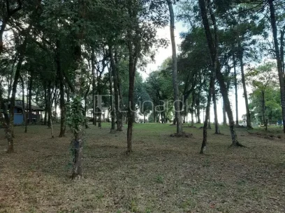 Área - Miniatura - Lunardi Imóveis