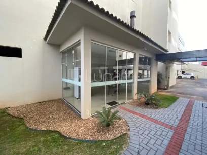 Apartamento com 3 Dormitórios - Miniatura - Lunardi Imóveis