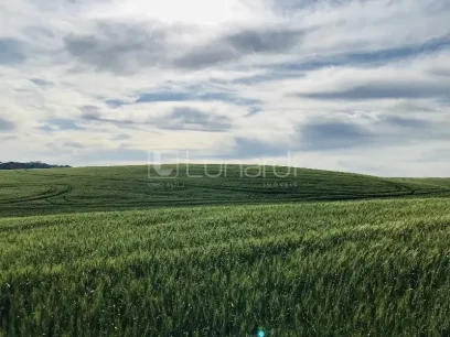 Área - Miniatura - Lunardi Imóveis