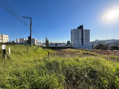 Terreno - Miniatura - Lunardi Imóveis