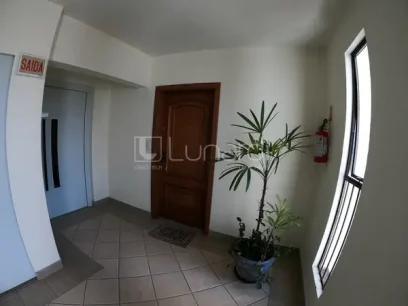 Apartamento com 3 Dormitórios - Miniatura - Lunardi Imóveis
