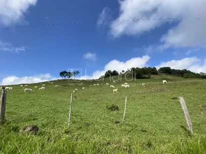 Área - Miniatura - Lunardi Imóveis