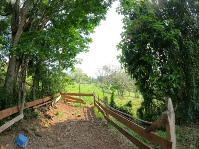 Área - Miniatura - Lunardi Imóveis