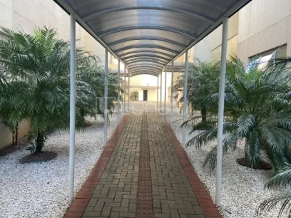 Apartamento com 3 Dormitórios - Miniatura - Lunardi Imóveis