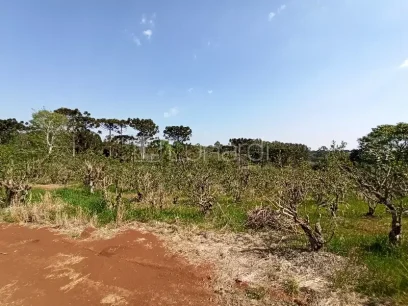 Área - Miniatura - Lunardi Imóveis