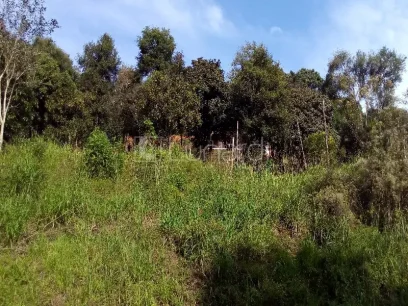 Área - Miniatura - Lunardi Imóveis