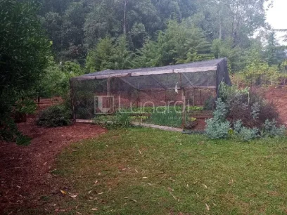 Casa com 4 Dormitórios - Miniatura - Lunardi Imóveis