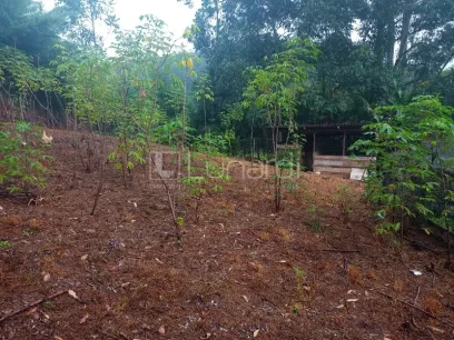 Casa com 4 Dormitórios - Miniatura - Lunardi Imóveis