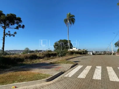 Terreno - Miniatura - Lunardi Imóveis