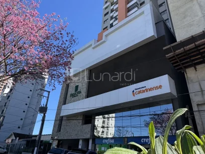 Apartamento com 2 Dormitórios - Lunardi Imóveis