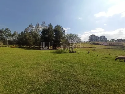 Área - Lunardi Imóveis