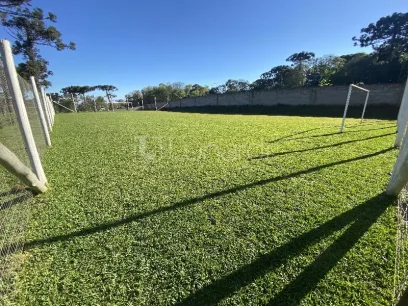 Terreno - Miniatura - Lunardi Imóveis