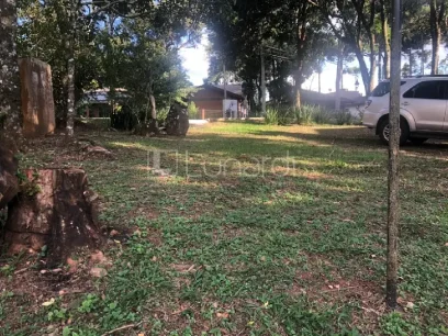 Casa com 3 Dormitórios - Miniatura - Lunardi Imóveis