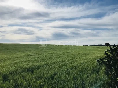 Área - Lunardi Imóveis