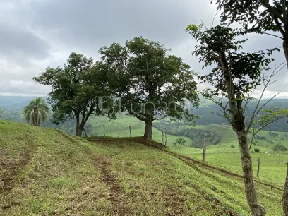 Área - Miniatura - Lunardi Imóveis