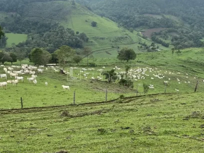 Área - Miniatura - Lunardi Imóveis