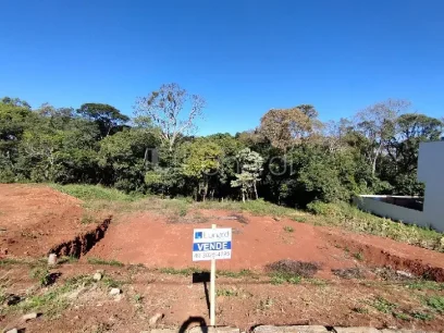 Terreno - Miniatura - Lunardi Imóveis