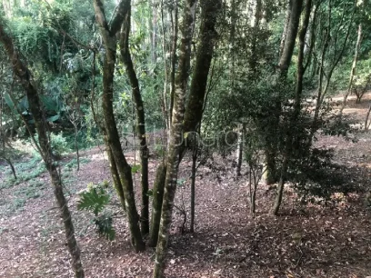 Casa com 3 Dormitórios - Miniatura - Lunardi Imóveis