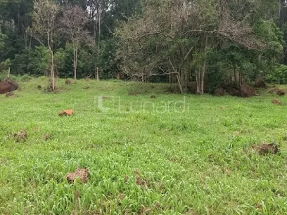 Área - Miniatura - Lunardi Imóveis