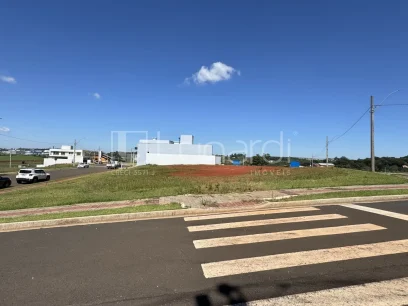 Terreno - Miniatura - Lunardi Imóveis