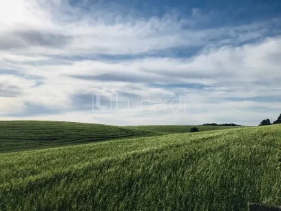 Área - Miniatura - Lunardi Imóveis