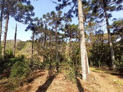 Área - Miniatura - Lunardi Imóveis