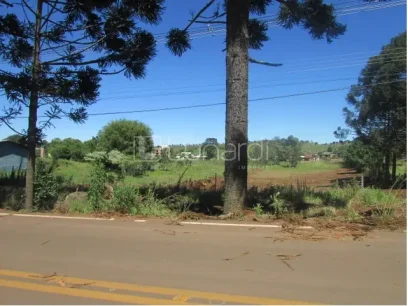 Terreno - Miniatura - Lunardi Imóveis