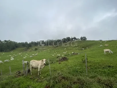 Área - Miniatura - Lunardi Imóveis