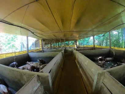 Área - Miniatura - Lunardi Imóveis