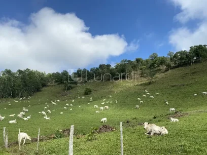 Área - Miniatura - Lunardi Imóveis