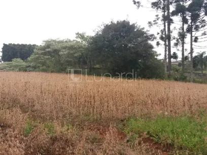 Área - Miniatura - Lunardi Imóveis