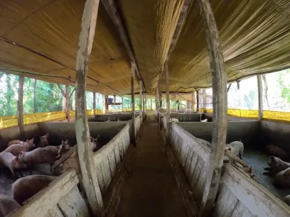 Área - Miniatura - Lunardi Imóveis