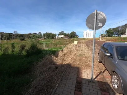 Terreno - Miniatura - Lunardi Imóveis