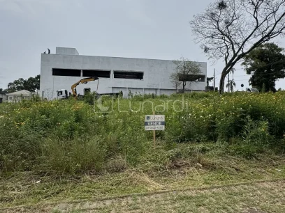 Terreno - Miniatura - Lunardi Imóveis