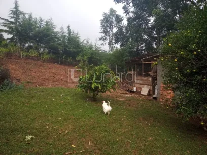 Casa com 4 Dormitórios - Miniatura - Lunardi Imóveis