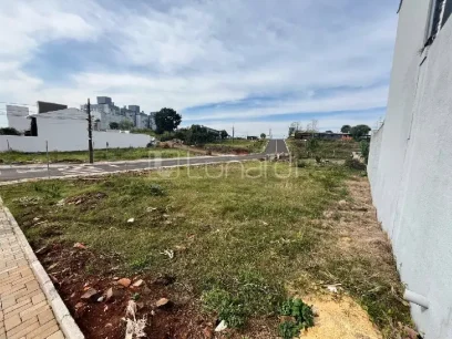 Terreno - Miniatura - Lunardi Imóveis