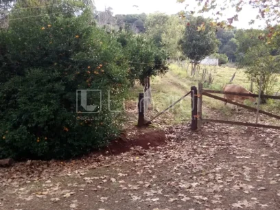 Área - Miniatura - Lunardi Imóveis