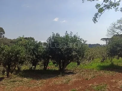 Área - Miniatura - Lunardi Imóveis