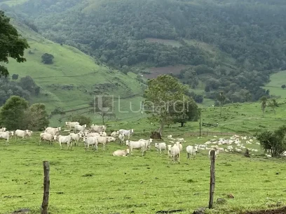 Área - Miniatura - Lunardi Imóveis