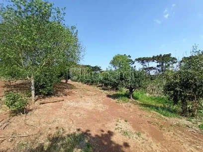 Área - Miniatura - Lunardi Imóveis